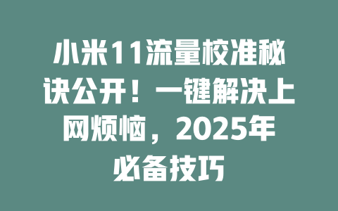 小米11流量校准秘诀公开！一键解决上网烦恼，2025年必备技巧