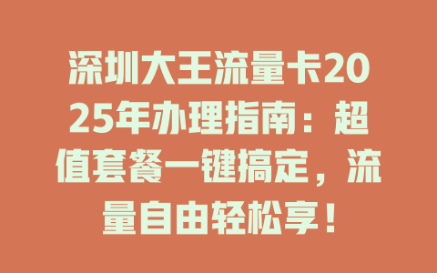 深圳大王流量卡2025年办理指南：超值套餐一键搞定，流量自由轻松享！