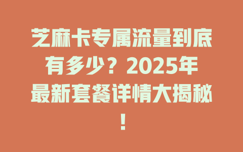 芝麻卡专属流量到底有多少？2025年最新套餐详情大揭秘！