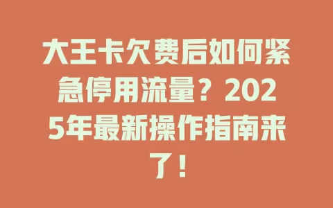 大王卡欠费后如何紧急停用流量？2025年最新操作指南来了！