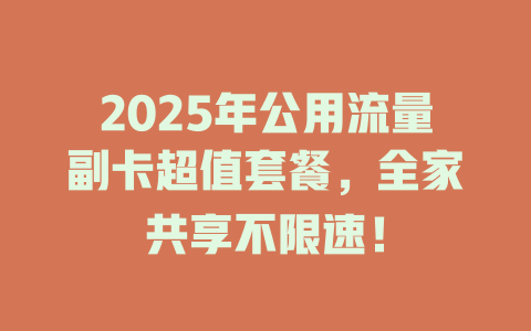 2025年公用流量副卡超值套餐，全家共享不限速！
