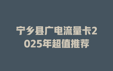 宁乡县广电流量卡2025年超值推荐