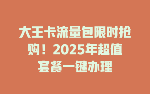 大王卡流量包限时抢购！2025年超值套餐一键办理