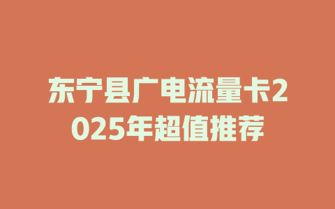 东宁县广电流量卡2025年超值推荐