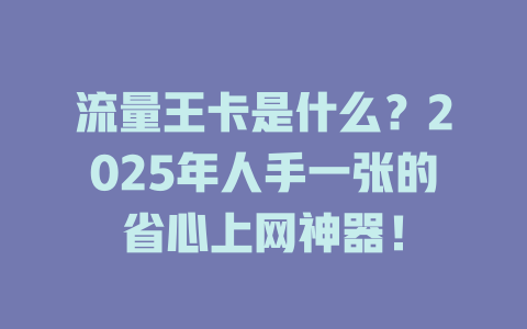 流量王卡是什么？2025年人手一张的省心上网神器！