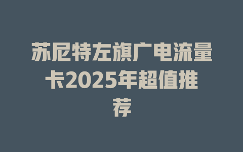 苏尼特左旗广电流量卡2025年超值推荐