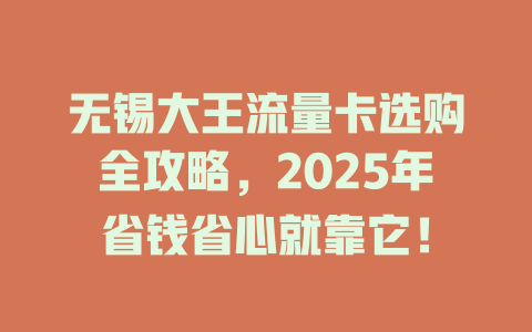 无锡大王流量卡选购全攻略，2025年省钱省心就靠它！