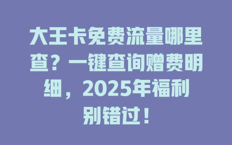 大王卡免费流量哪里查？一键查询赠费明细，2025年福利别错过！