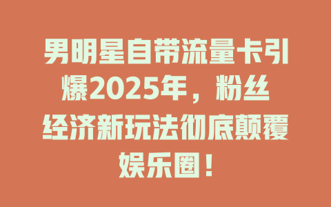 男明星自带流量卡引爆2025年，粉丝经济新玩法彻底颠覆娱乐圈！