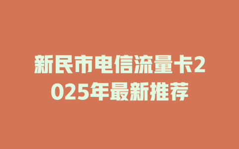 新民市电信流量卡2025年最新推荐