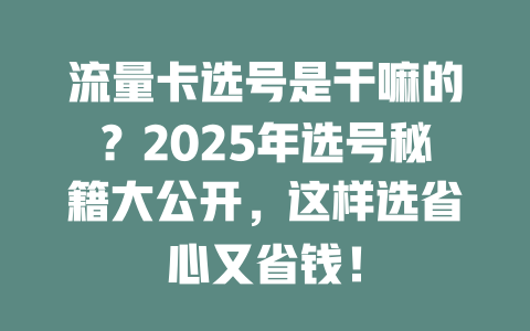 流量卡选号是干嘛的？2025年选号秘籍大公开，这样选省心又省钱！