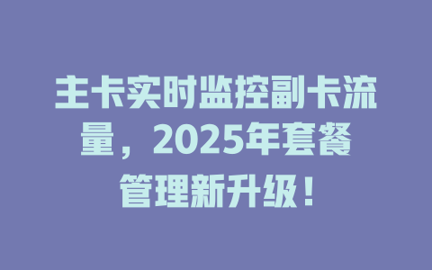 主卡实时监控副卡流量，2025年套餐管理新升级！