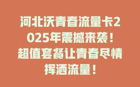 河北沃青春流量卡2025年震撼来袭！超值套餐让青春尽情挥洒流量！
