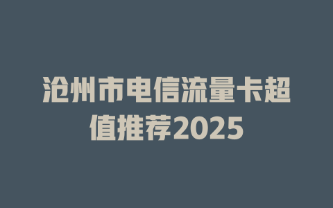 沧州市电信流量卡超值推荐2025