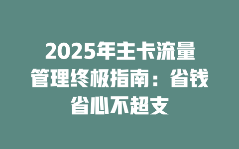 2025年主卡流量管理终极指南：省钱省心不超支