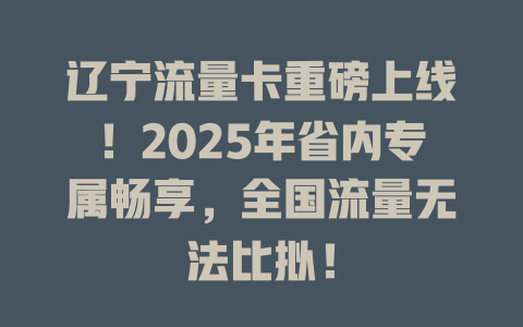 辽宁流量卡重磅上线！2025年省内专属畅享，全国流量无法比拟！