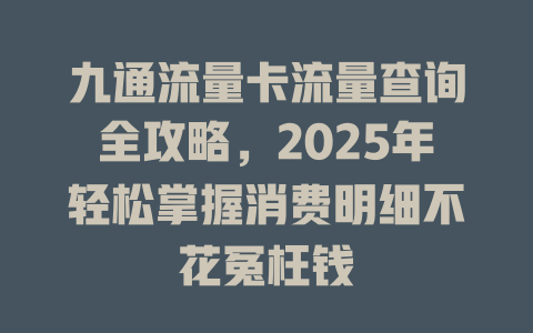 九通流量卡流量查询全攻略，2025年轻松掌握消费明细不花冤枉钱