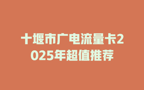 十堰市广电流量卡2025年超值推荐