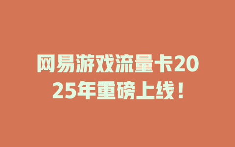 网易游戏流量卡2025年重磅上线！