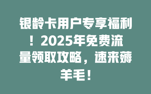 银龄卡用户专享福利！2025年免费流量领取攻略，速来薅羊毛！