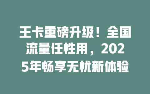 王卡重磅升级！全国流量任性用，2025年畅享无忧新体验