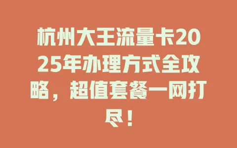 杭州大王流量卡2025年办理方式全攻略，超值套餐一网打尽！