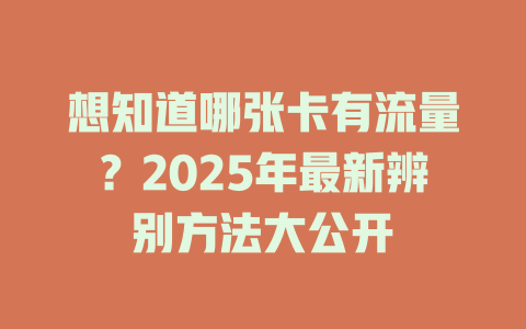 想知道哪张卡有流量？2025年最新辨别方法大公开