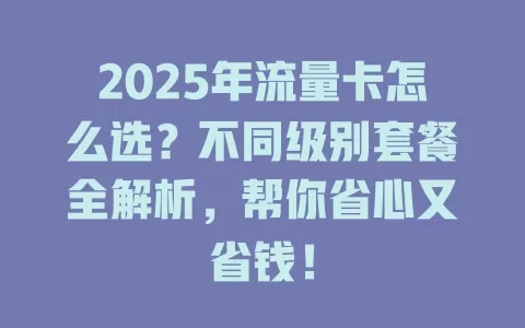 2025年流量卡怎么选？不同级别套餐全解析，帮你省心又省钱！