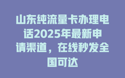 山东纯流量卡办理电话2025年最新申请渠道，在线秒发全国可达