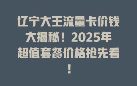 辽宁大王流量卡价钱大揭秘！2025年超值套餐价格抢先看！