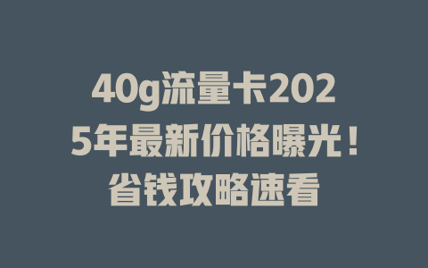 40g流量卡2025年最新价格曝光！省钱攻略速看