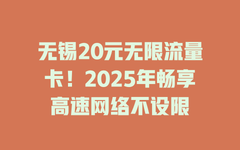 无锡20元无限流量卡！2025年畅享高速网络不设限