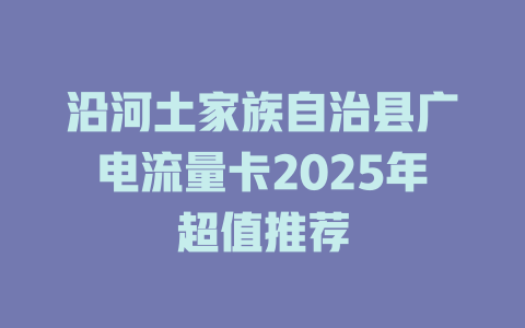 沿河土家族自治县广电流量卡2025年超值推荐