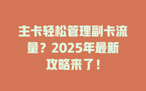 主卡轻松管理副卡流量？2025年最新攻略来了！