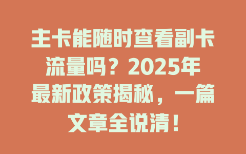 主卡能随时查看副卡流量吗？2025年最新政策揭秘，一篇文章全说清！