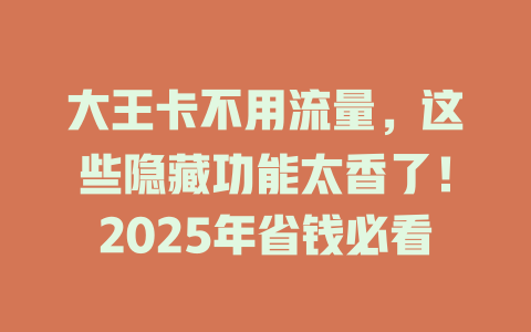 大王卡不用流量，这些隐藏功能太香了！2025年省钱必看