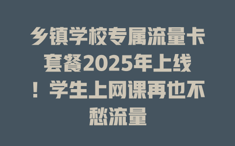 乡镇学校专属流量卡套餐2025年上线！学生上网课再也不愁流量