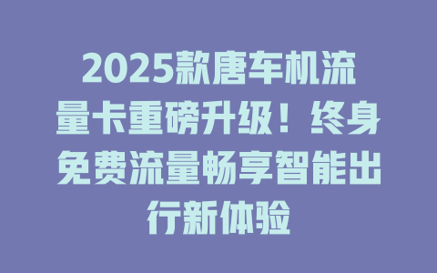 2025款唐车机流量卡重磅升级！终身免费流量畅享智能出行新体验