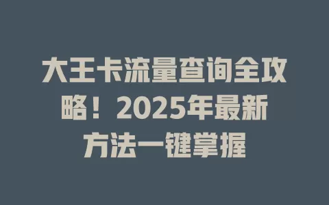 大王卡流量查询全攻略！2025年最新方法一键掌握