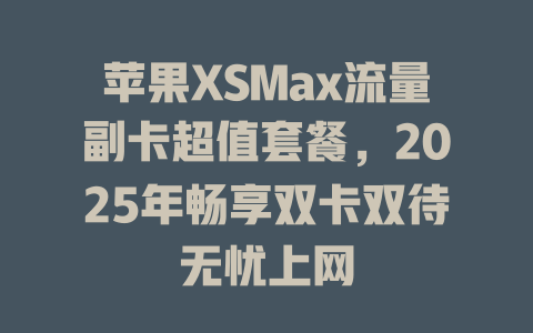 苹果XSMax流量副卡超值套餐，2025年畅享双卡双待无忧上网