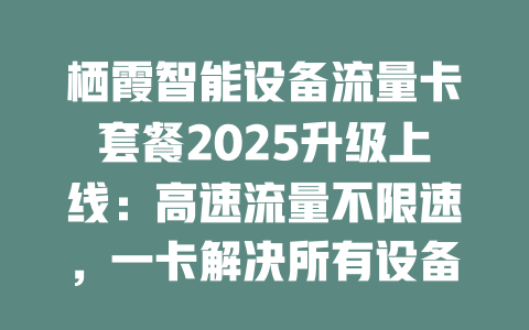 栖霞智能设备流量卡套餐2025升级上线：高速流量不限速，一卡解决所有设备联网难题！
