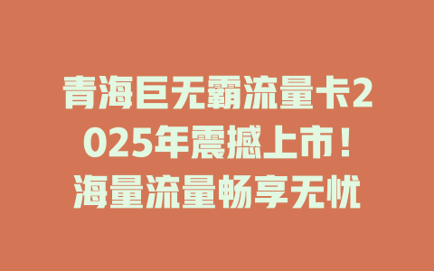 青海巨无霸流量卡2025年震撼上市！海量流量畅享无忧