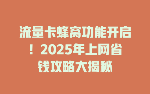 流量卡蜂窝功能开启！2025年上网省钱攻略大揭秘