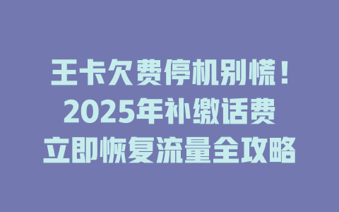 王卡欠费停机别慌！2025年补缴话费立即恢复流量全攻略