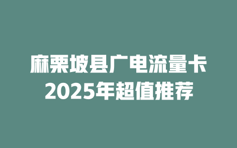 麻栗坡县广电流量卡2025年超值推荐