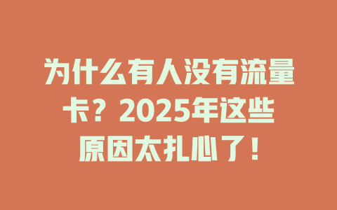 为什么有人没有流量卡？2025年这些原因太扎心了！