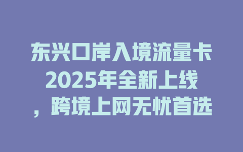 东兴口岸入境流量卡2025年全新上线，跨境上网无忧首选