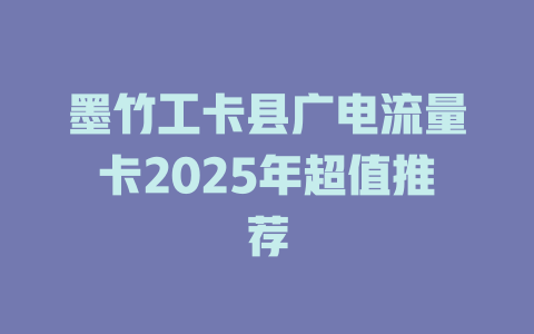 墨竹工卡县广电流量卡2025年超值推荐