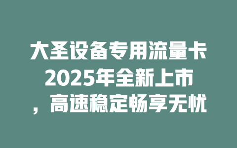 大圣设备专用流量卡2025年全新上市，高速稳定畅享无忧