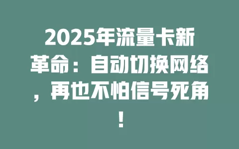 2025年流量卡新革命：自动切换网络，再也不怕信号死角！